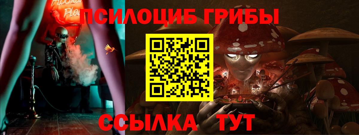 Кудымкар  Галлюциногенные грибы Magic Shrooms  Вход с VPN  Псилоцибиновые грибы Magic Shrooms 